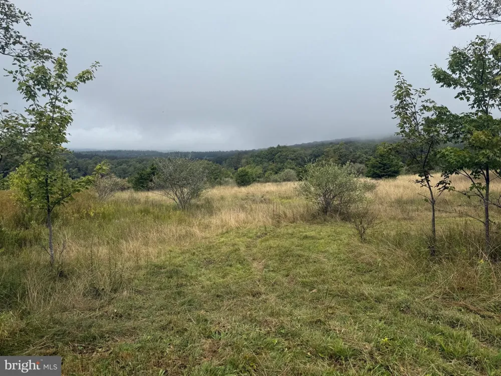 0 PINNACLE ROAD Keyser, WV 26726