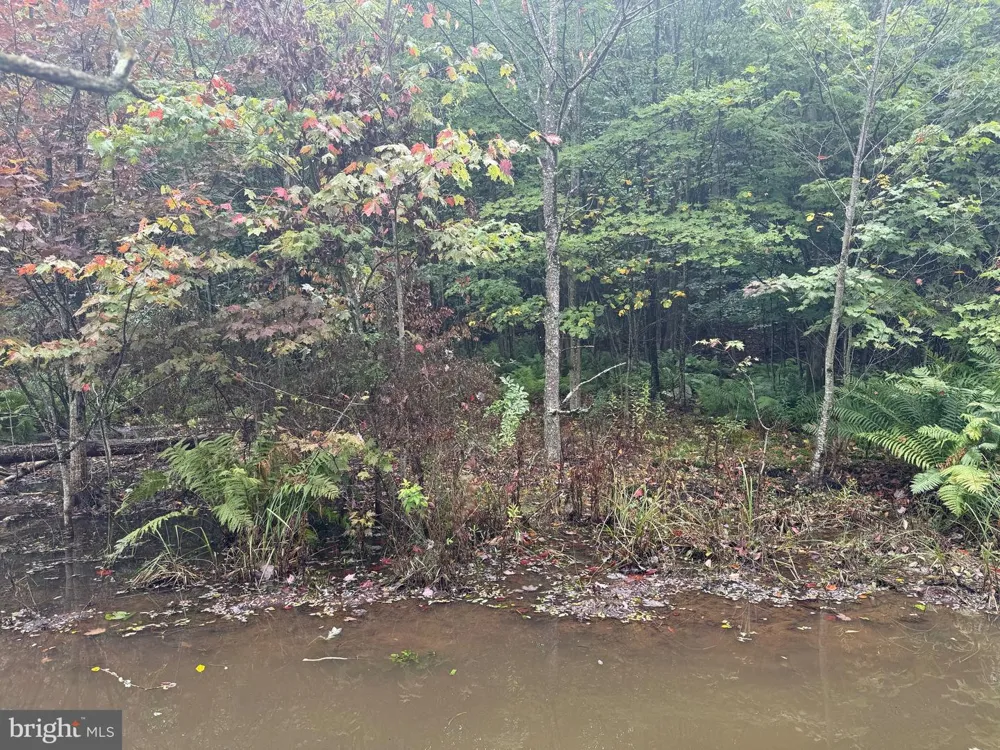 0 PINNACLE ROAD Keyser, WV 26726