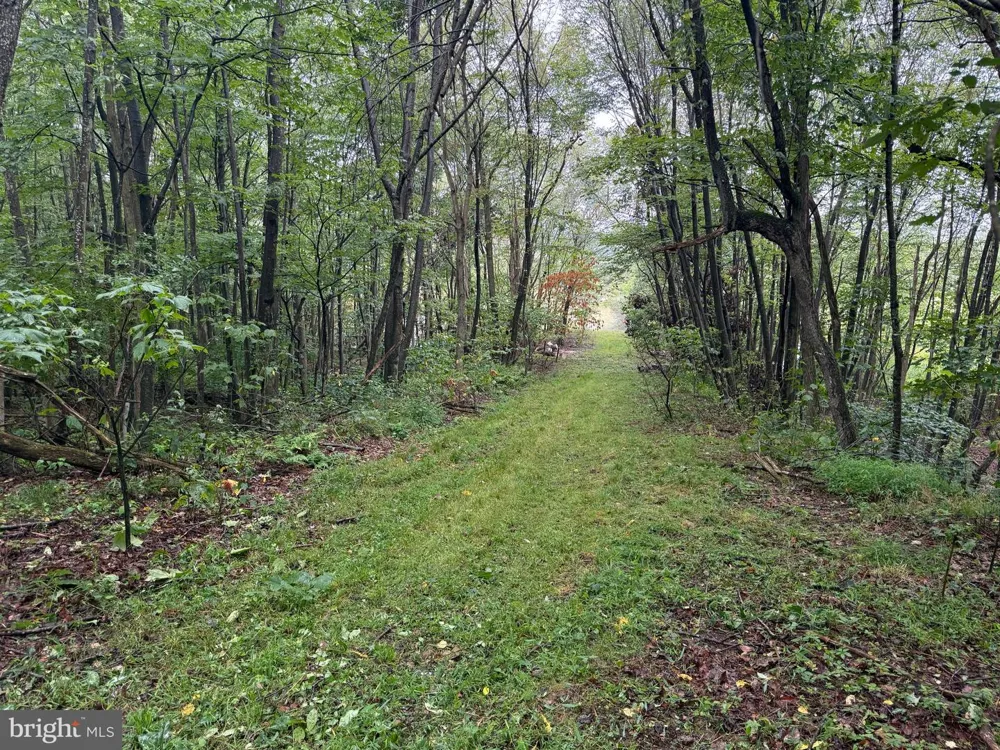 0 PINNACLE ROAD Keyser, WV 26726