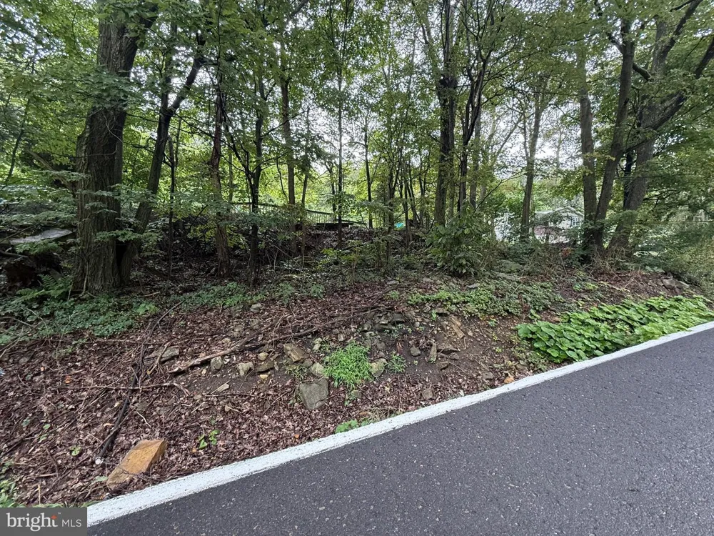 0 PINNACLE ROAD Keyser, WV 26726
