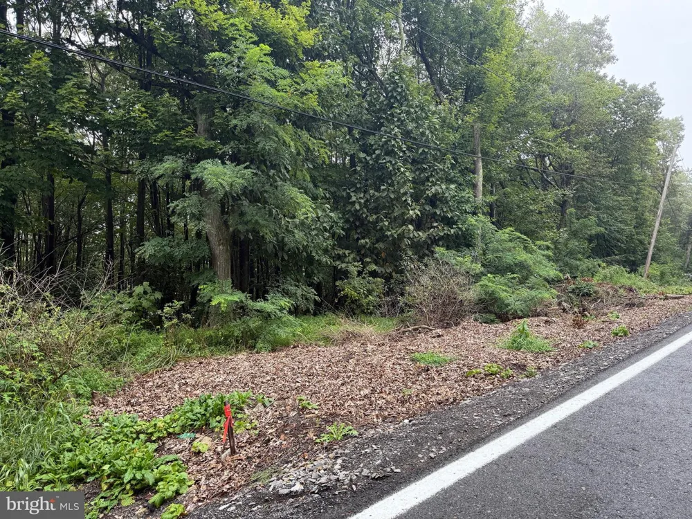0 PINNACLE ROAD Keyser, WV 26726