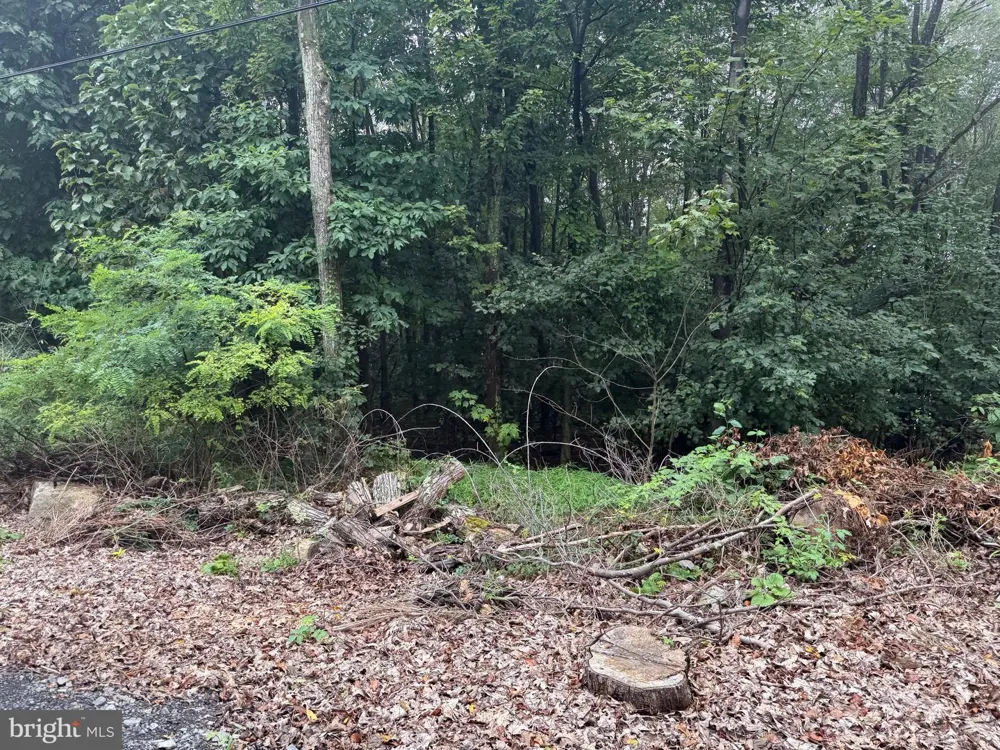 0 PINNACLE ROAD Keyser, WV 26726