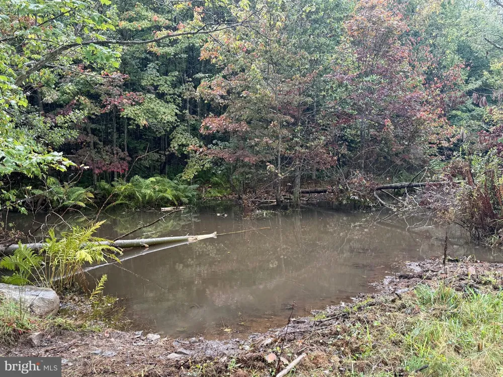 0 PINNACLE ROAD Keyser, WV 26726