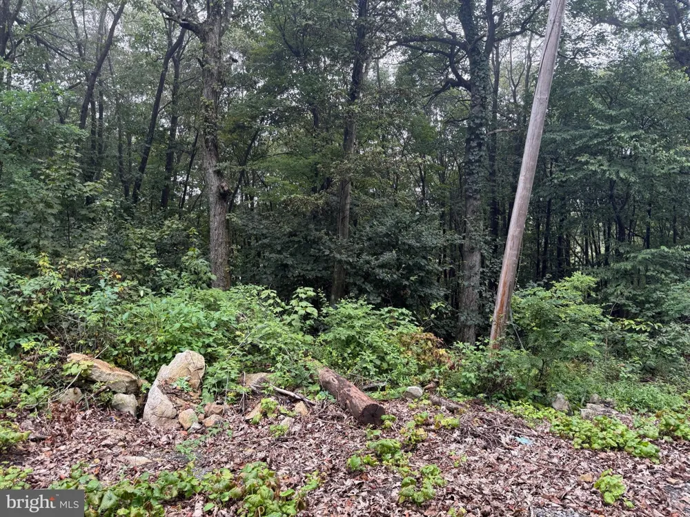 0 PINNACLE ROAD Keyser, WV 26726