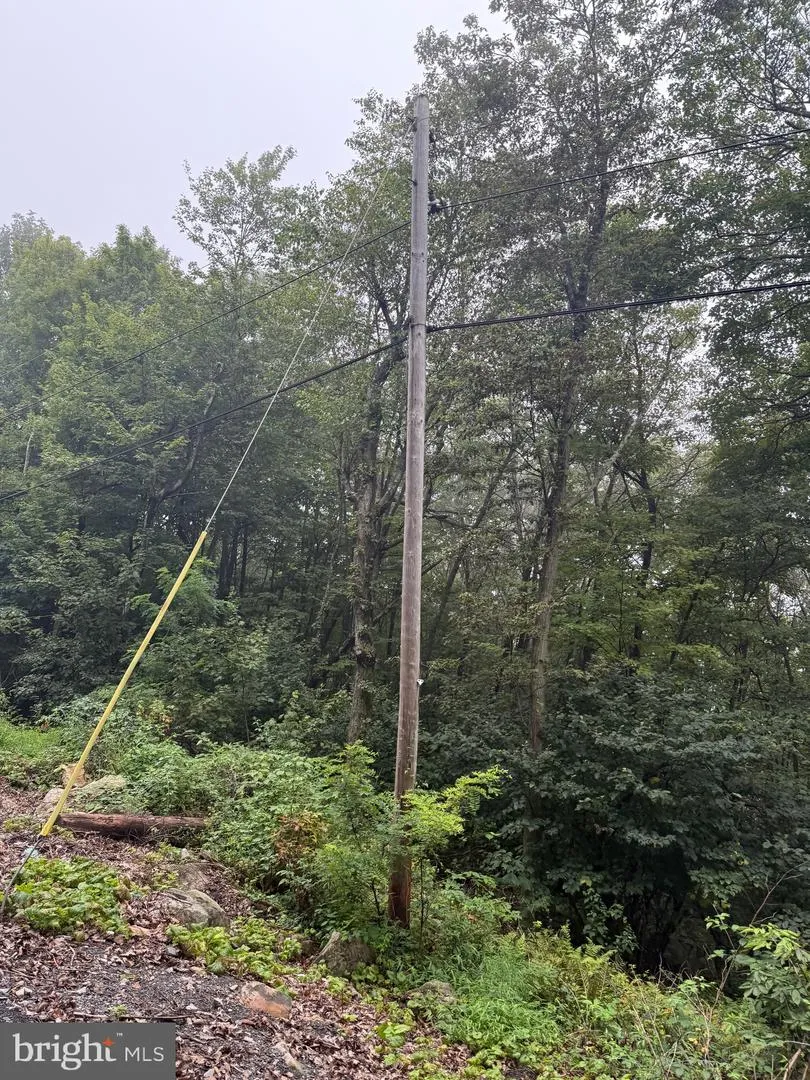 0 PINNACLE ROAD Keyser, WV 26726