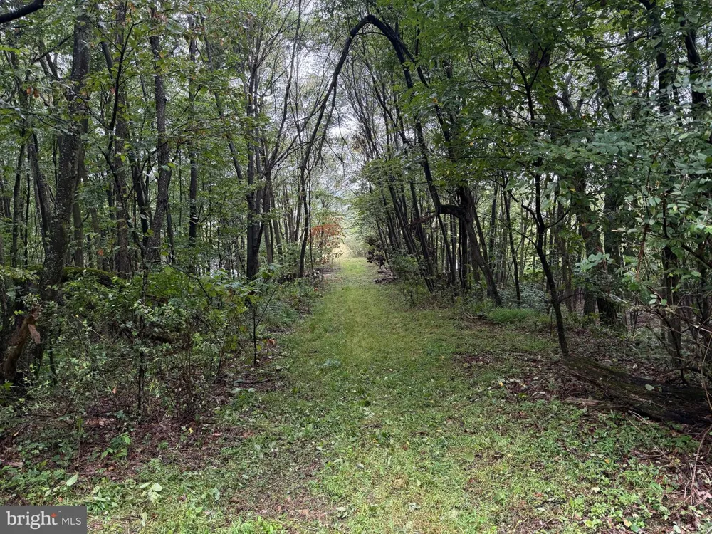 0 PINNACLE ROAD Keyser, WV 26726