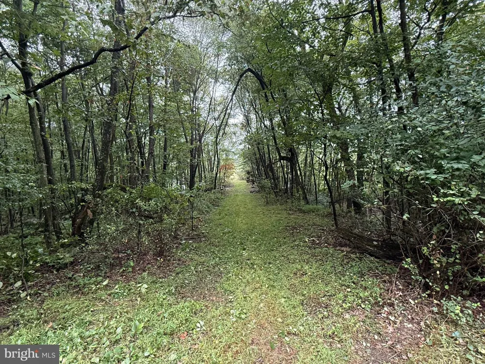0 PINNACLE ROAD Keyser, WV 26726