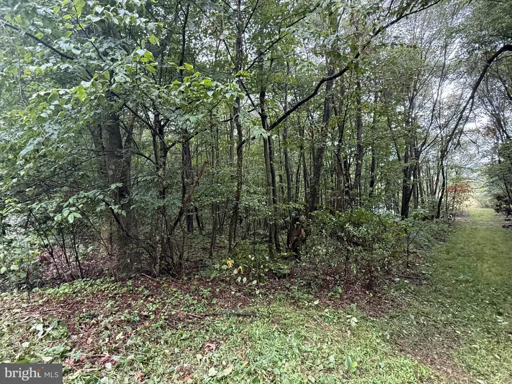 0 PINNACLE ROAD Keyser, WV 26726