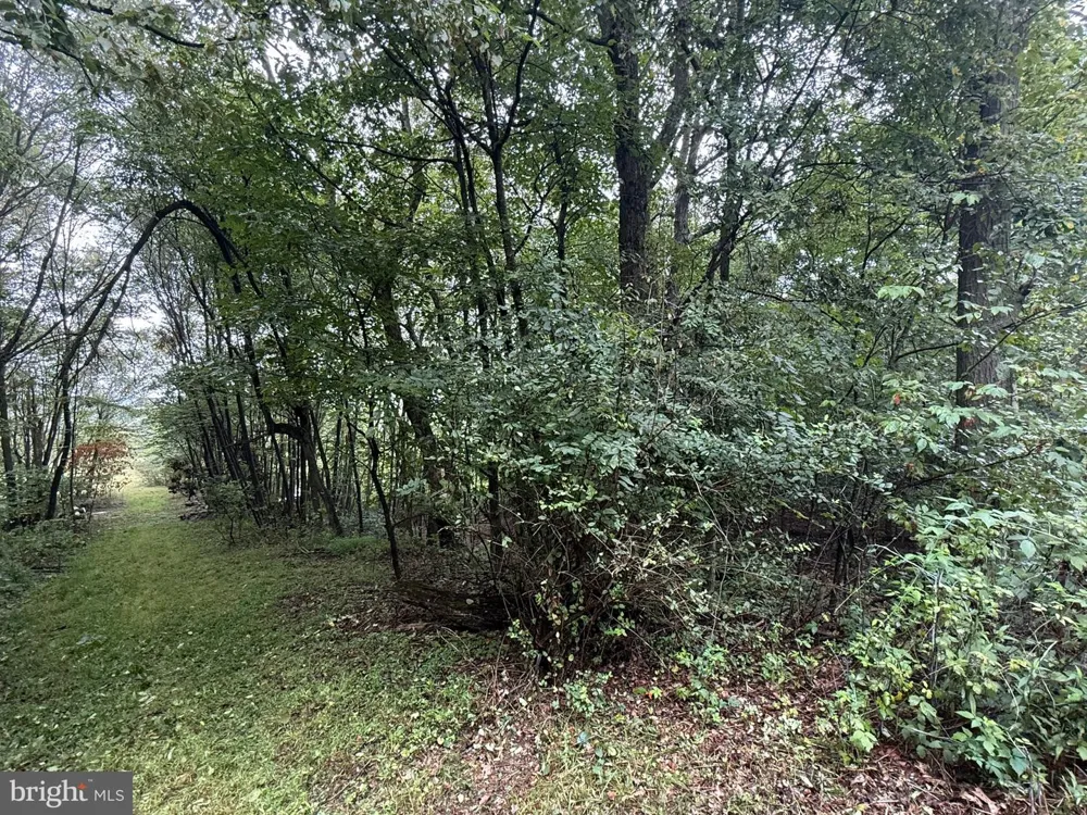 0 PINNACLE ROAD Keyser, WV 26726