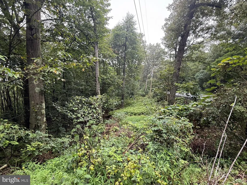 0 PINNACLE ROAD Keyser, WV 26726