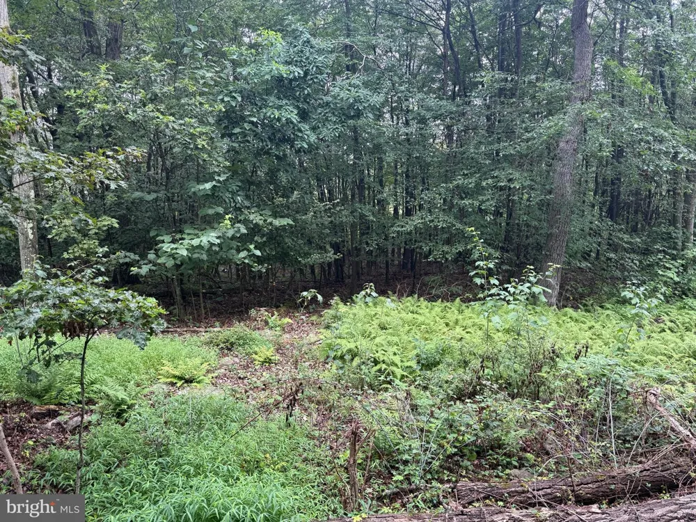 0 PINNACLE ROAD Keyser, WV 26726
