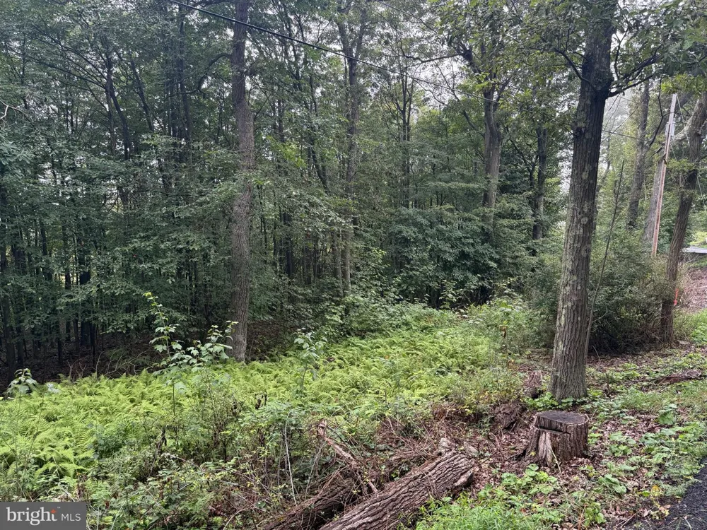 0 PINNACLE ROAD Keyser, WV 26726