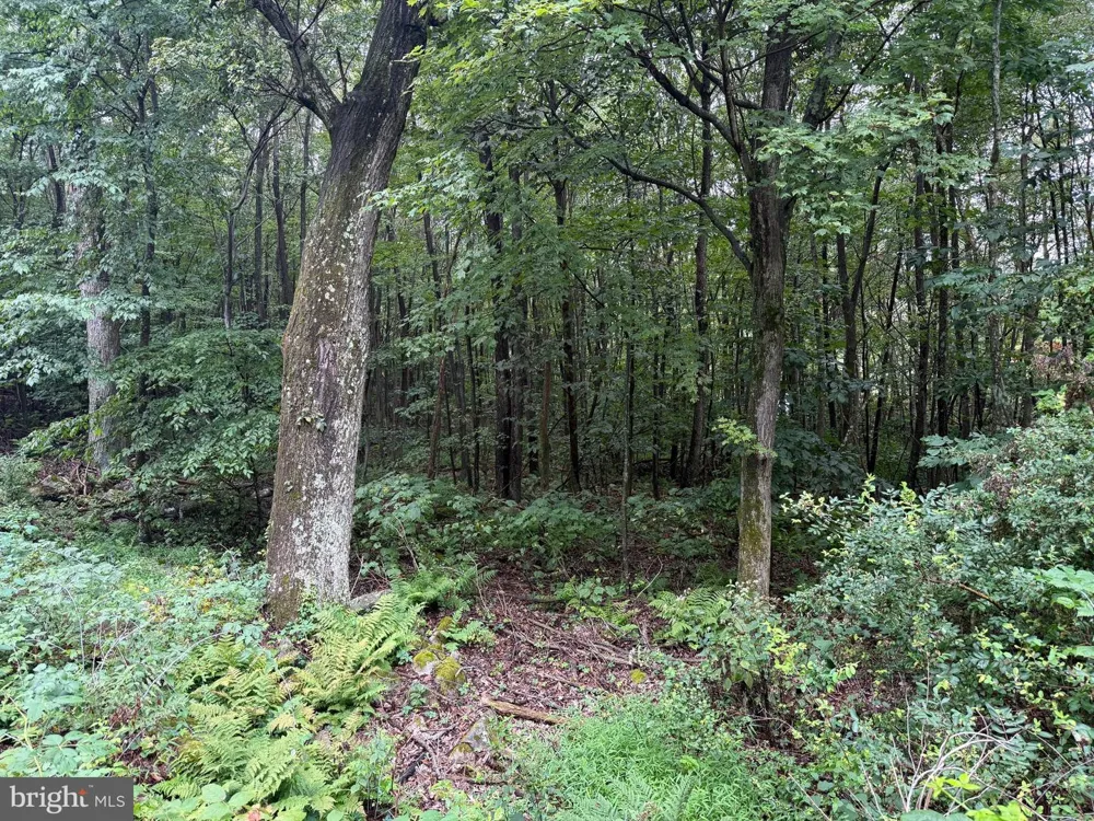 0 PINNACLE ROAD Keyser, WV 26726