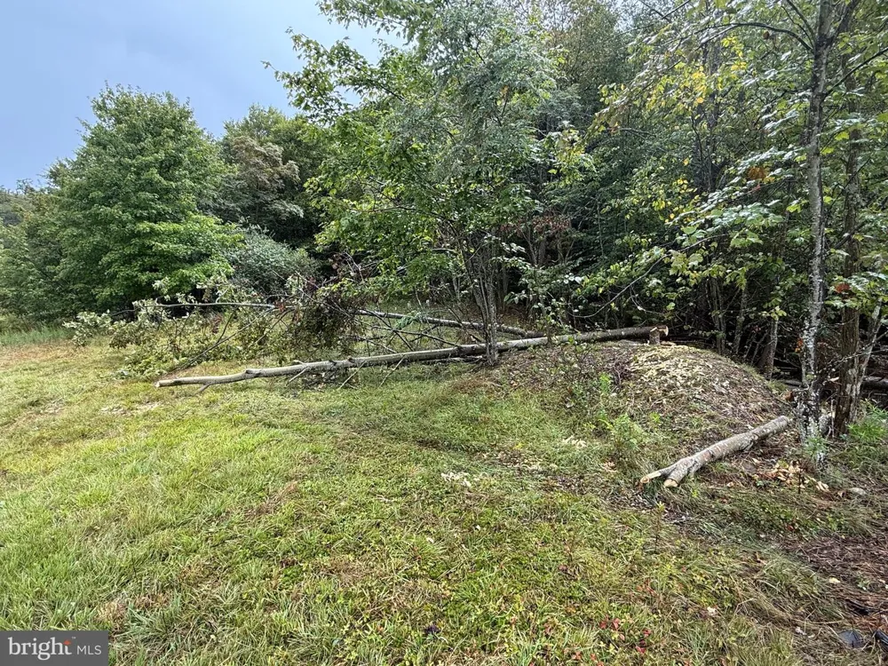 0 PINNACLE ROAD Keyser, WV 26726