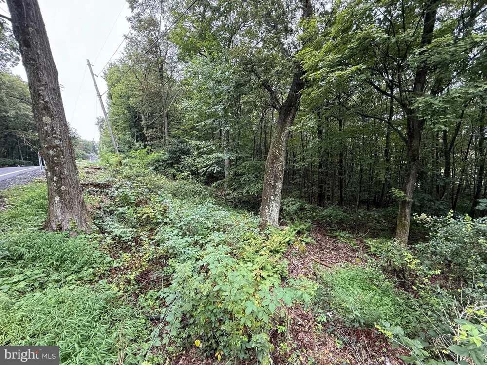 0 PINNACLE ROAD Keyser, WV 26726