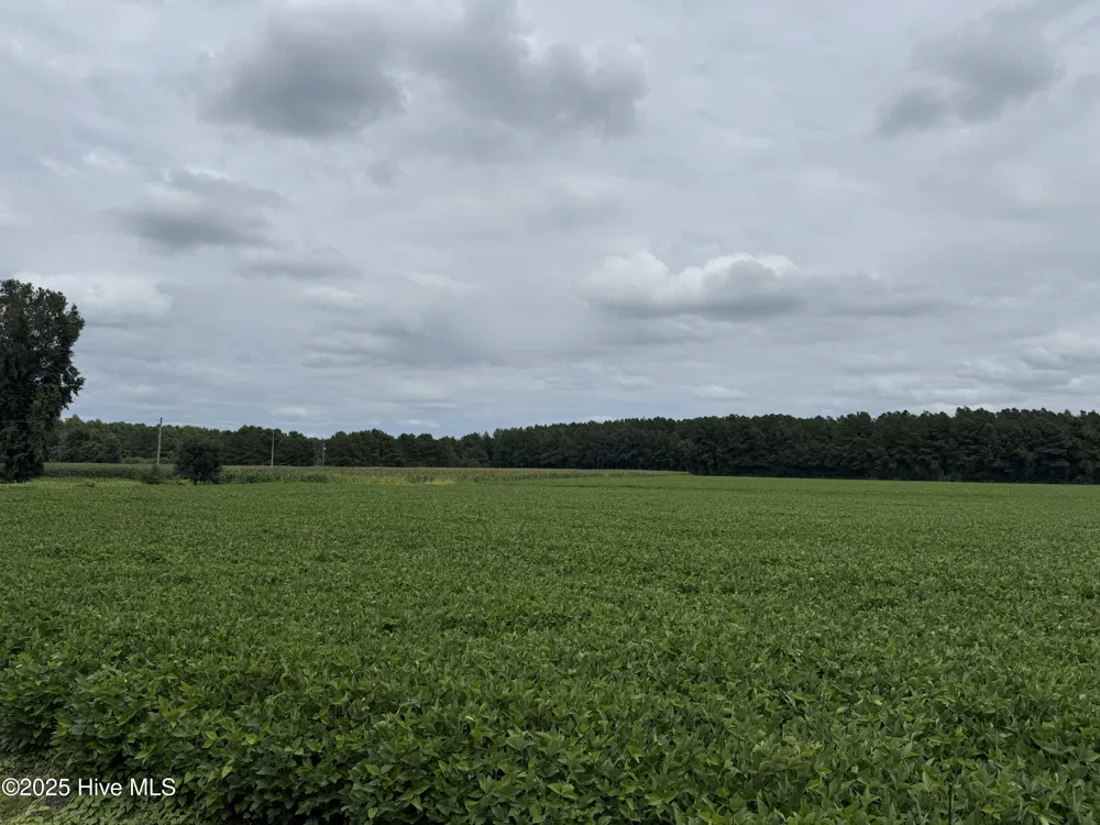 0 Sr 1932 Aurora, NC 27806