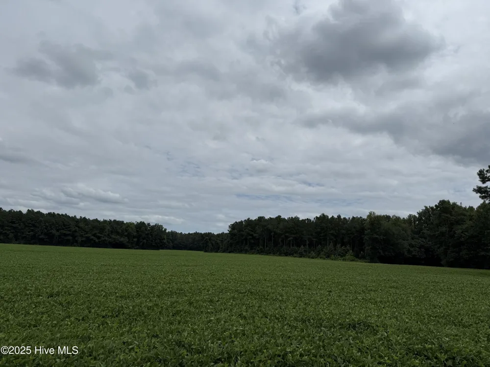 0 Sr 1932 Aurora, NC 27806