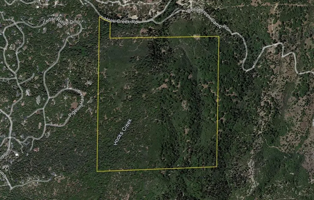 Hook Creek Rd Cedar Glen, CA 92321