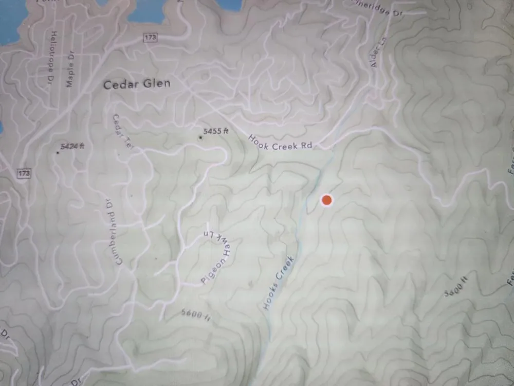 Hook Creek Rd Cedar Glen, CA 92321