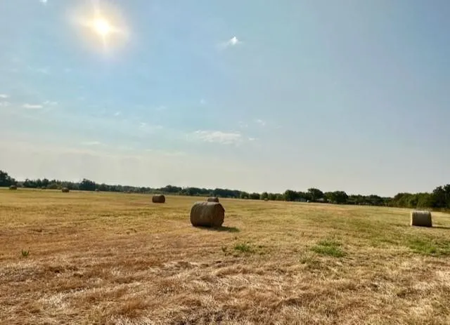 Tours Road Elm Mott, TX 76640