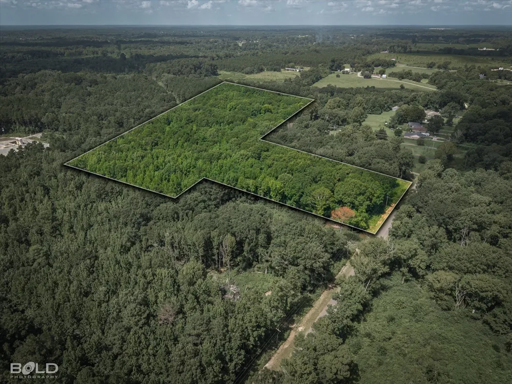 1 Bledsoe Road Keithville, LA 71047