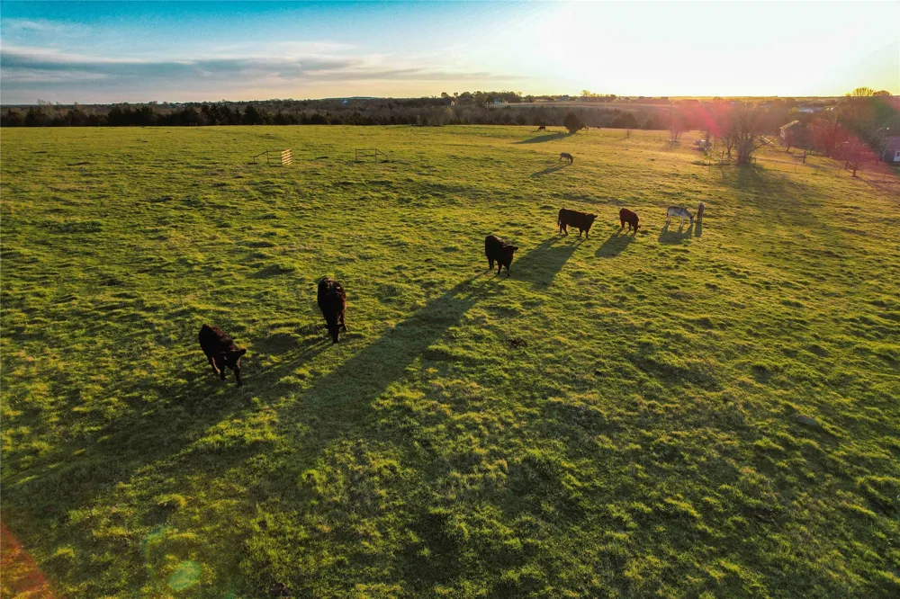 Bennett Road Howe, TX 75459