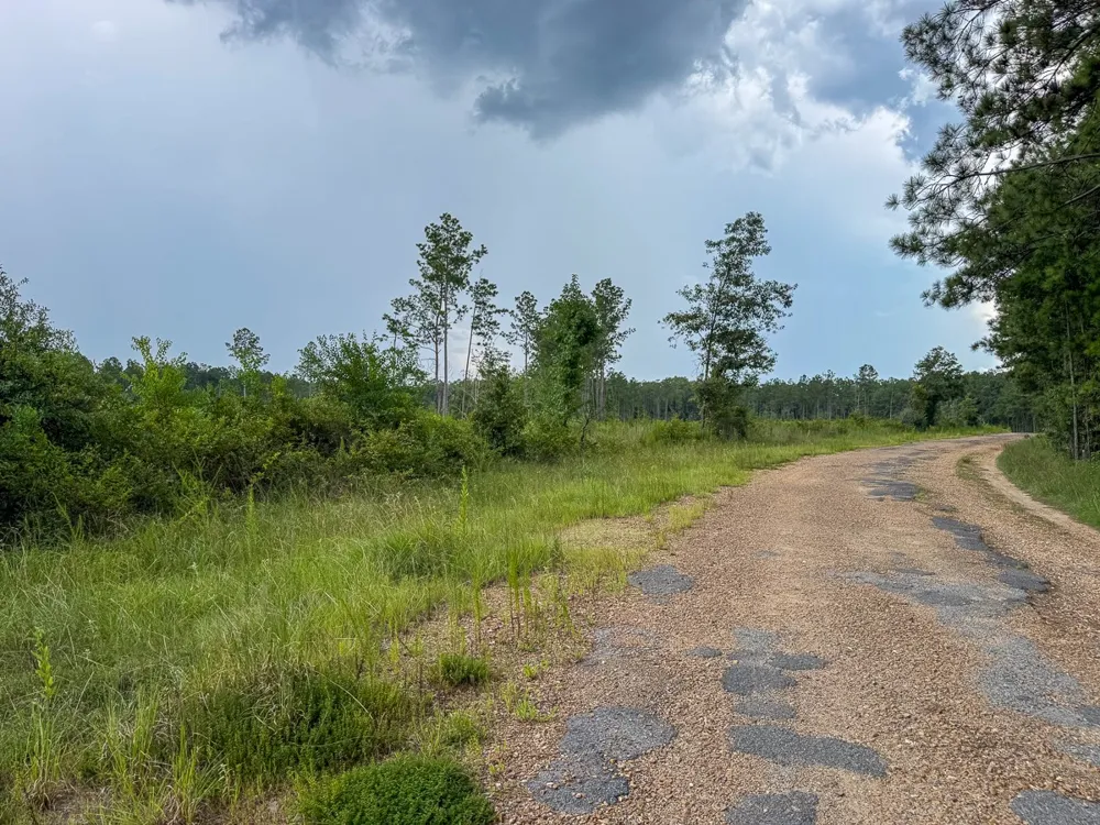Kelley Road Jena, LA 71371