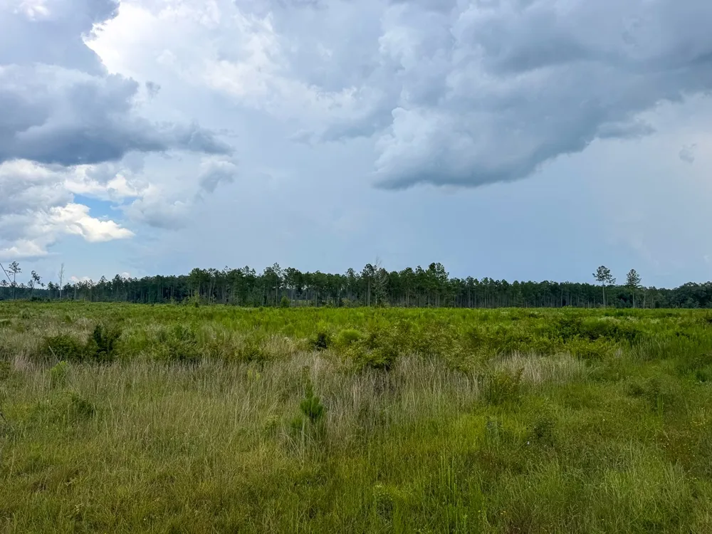 Kelley Road Jena, LA 71371
