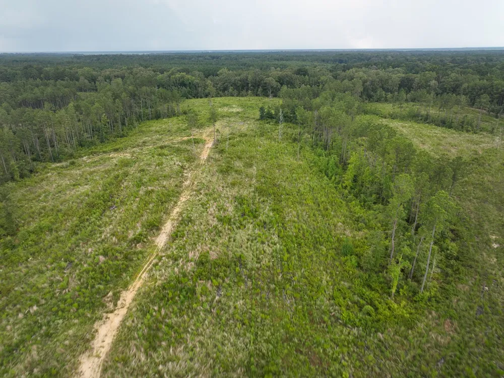 Kelley Road Jena, LA 71371
