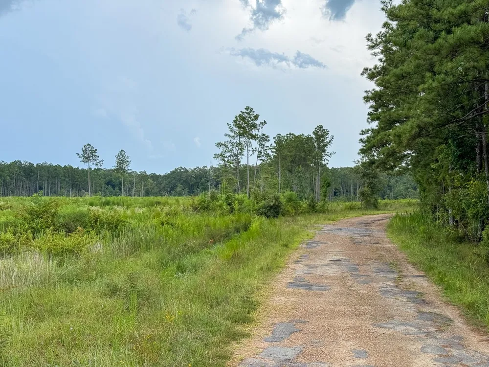 Kelley Road Jena, LA 71371