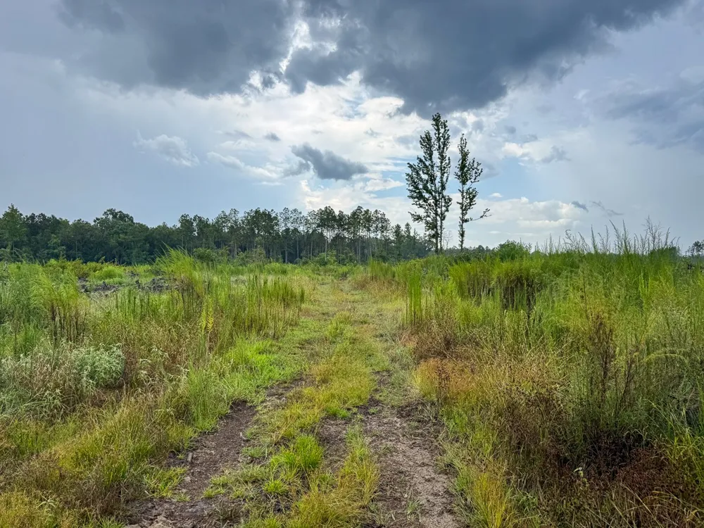 Highway 127 Jena, LA 71371