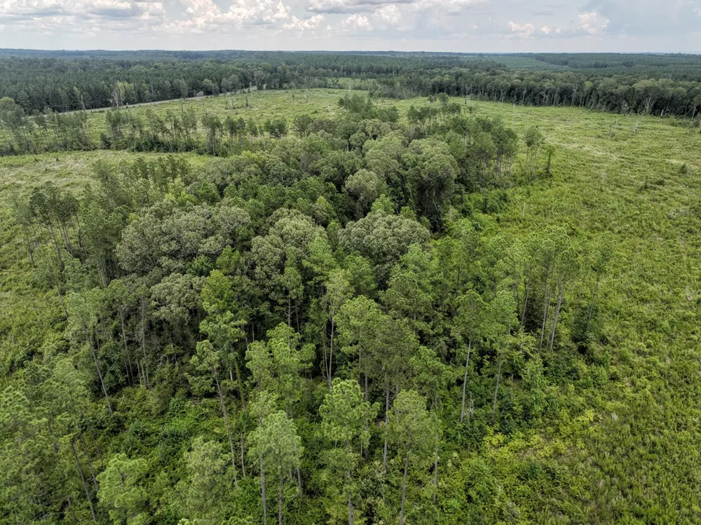 Highway 127 Jena, LA 71371