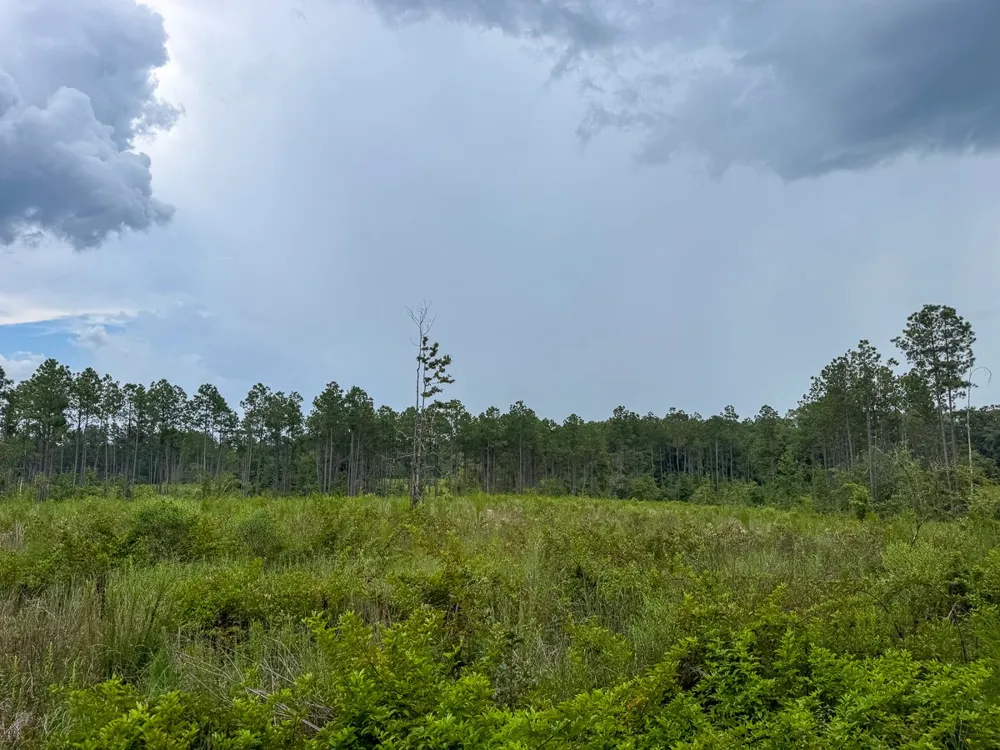 Highway 127 Jena, LA 71371