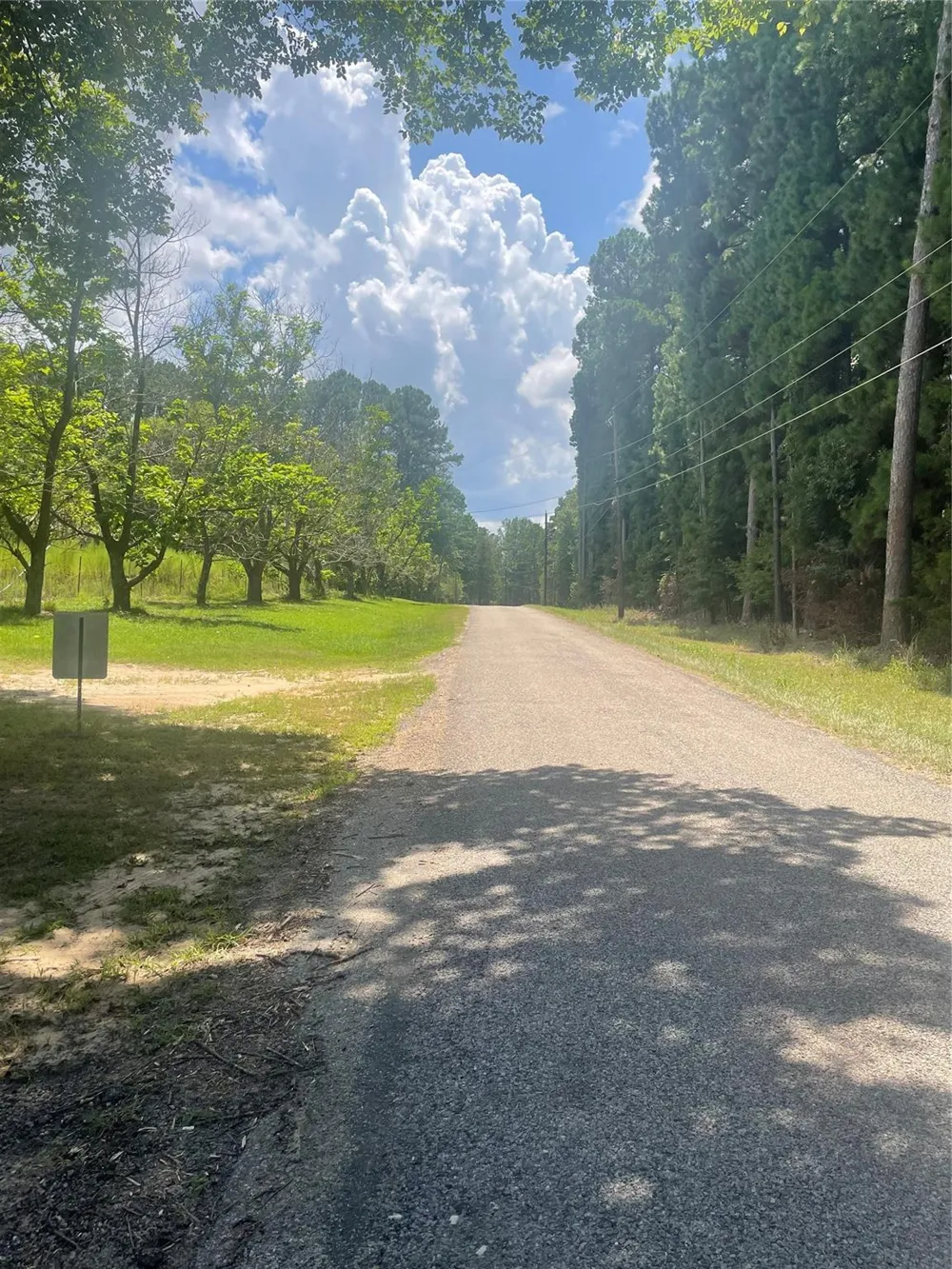 1145 Lundy Lane Lane Daingerfield, TX 75638