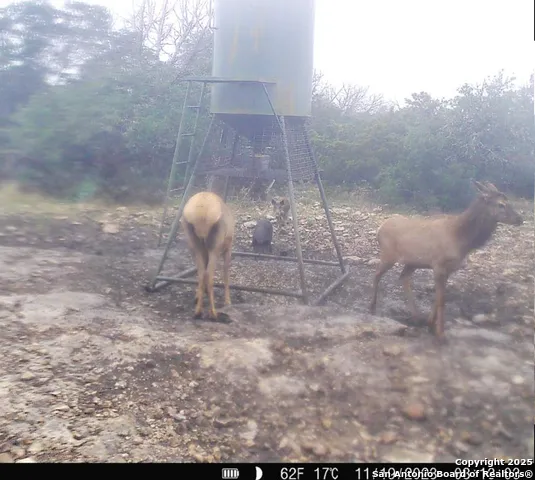 104 SD 14070 Rocksprings, TX 78880
