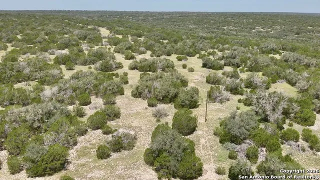 104 SD 14070 Rocksprings, TX 78880