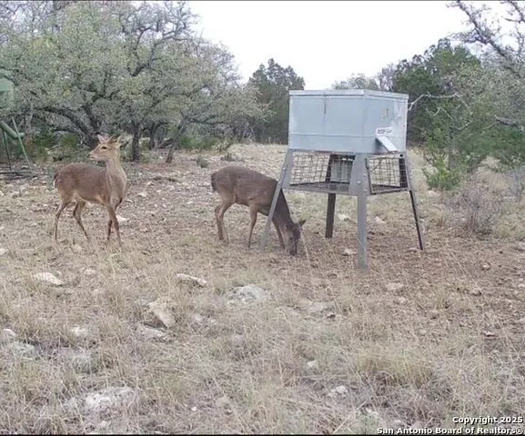 104 SD 14070 Rocksprings, TX 78880