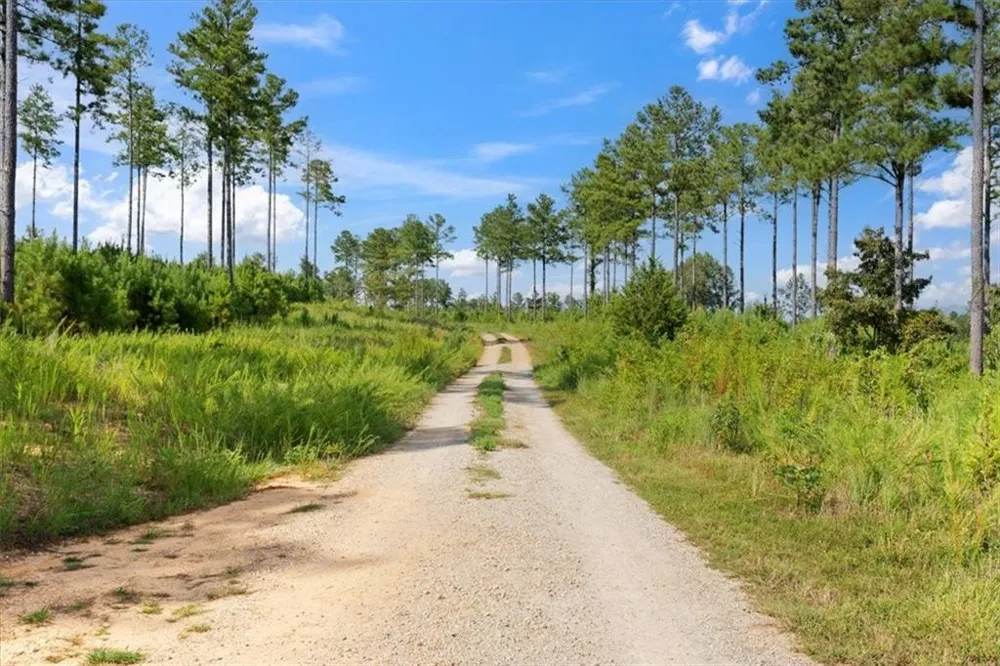 664 Wiggins Road Lyerly, GA 30730