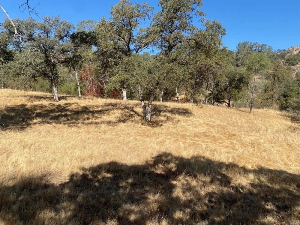 8 Tioga Drive Coarsegold, CA 93614