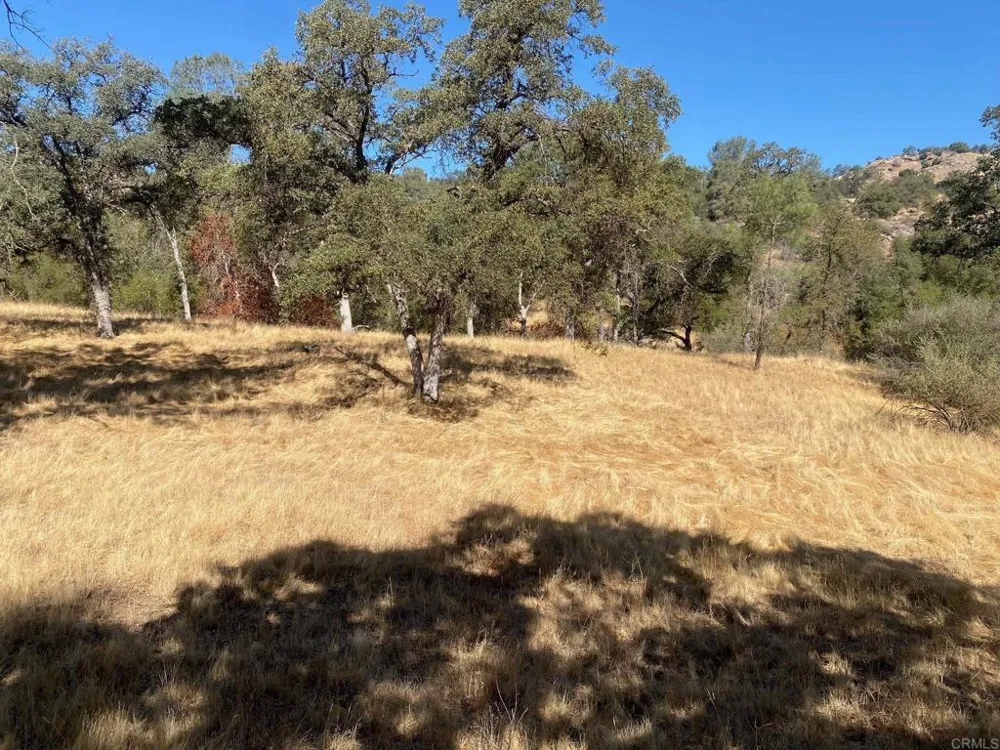 8 Tioga Drive Coarsegold, CA 93614
