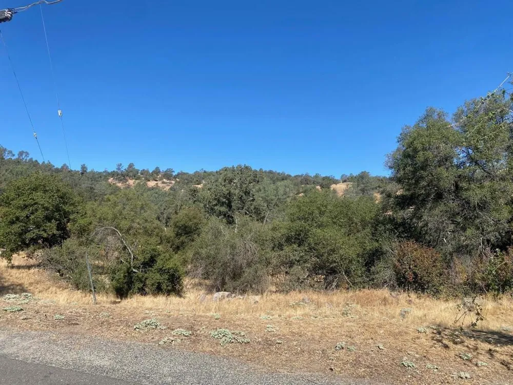 8 Tioga Drive Coarsegold, CA 93614