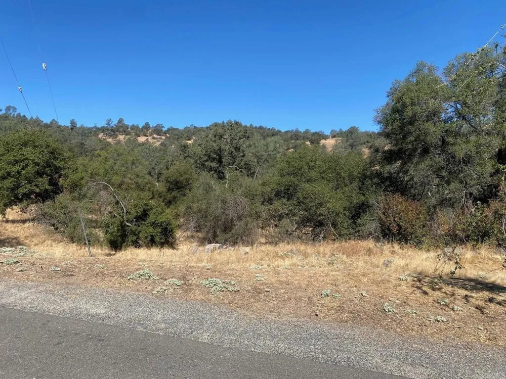 8 Tioga Drive Coarsegold, CA 93614