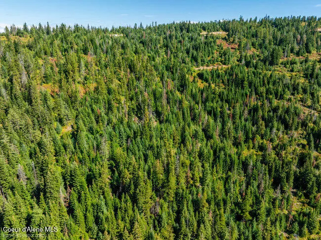 NNA Cherry Creek Road St. Maries, ID 83861