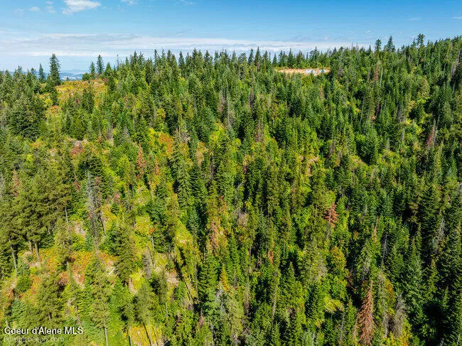 NNA Cherry Creek Road St. Maries, ID 83861