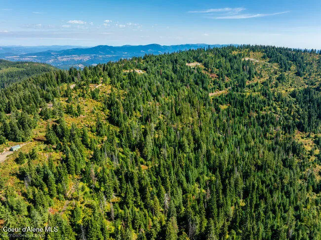 NNA Cherry Creek Road St. Maries, ID 83861