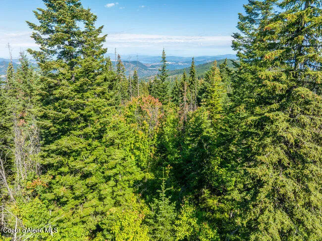 NNA Cherry Creek Road St. Maries, ID 83861