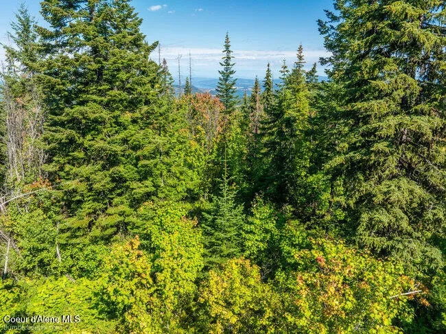 NNA Cherry Creek Road St. Maries, ID 83861