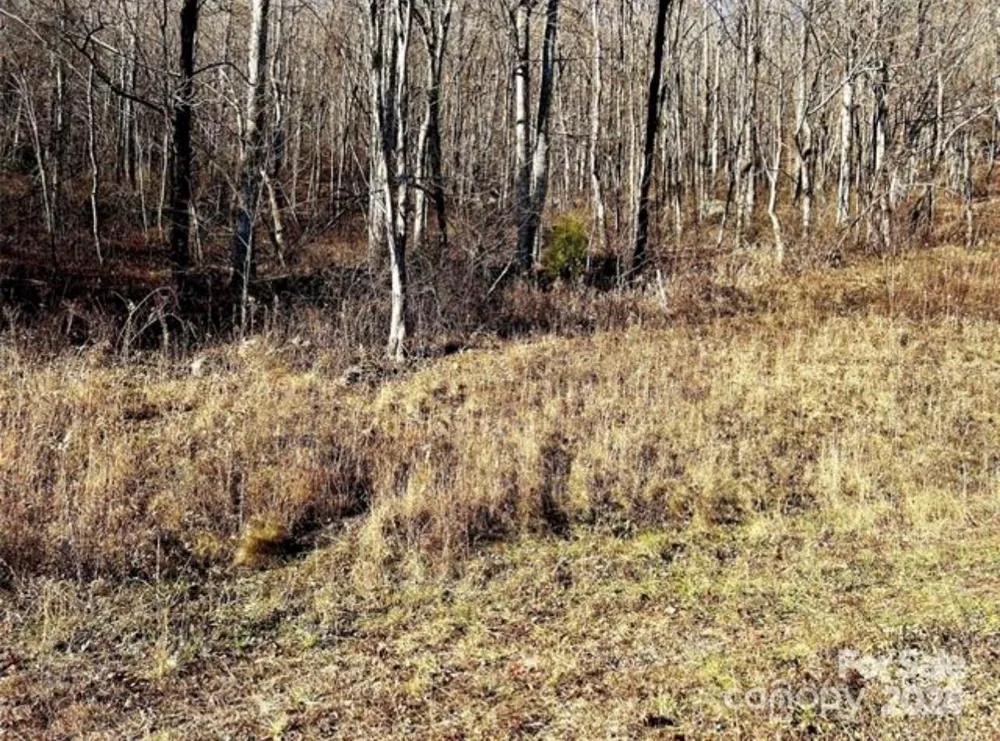 108 Lanning Road Clyde, NC 28721