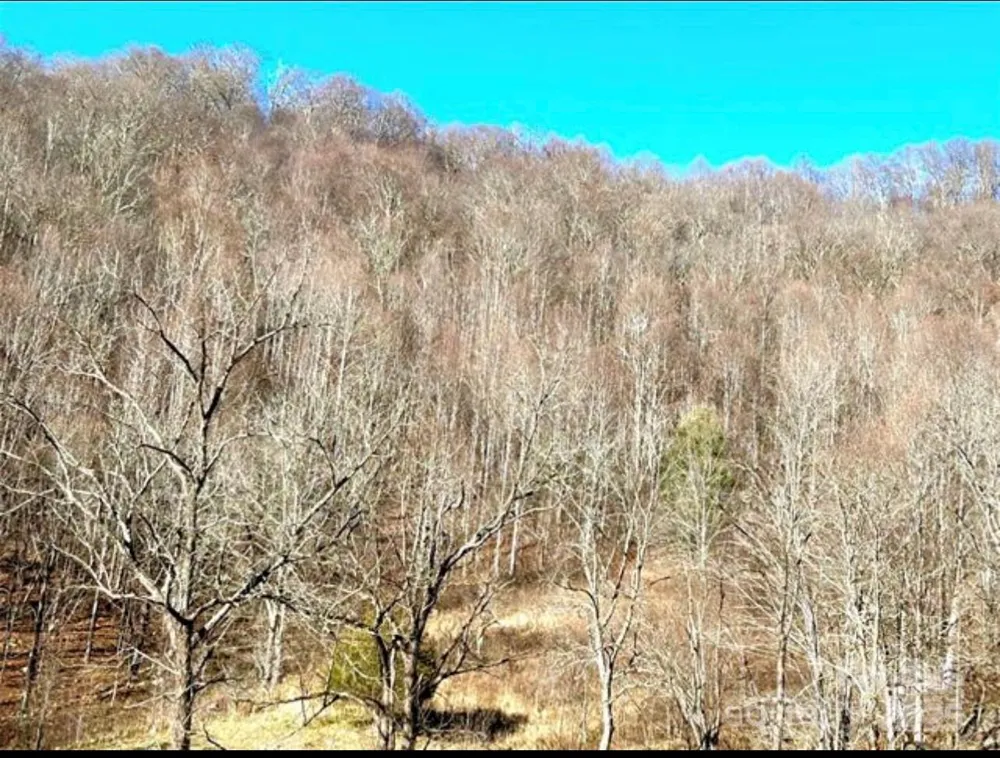 108 Lanning Road Clyde, NC 28721