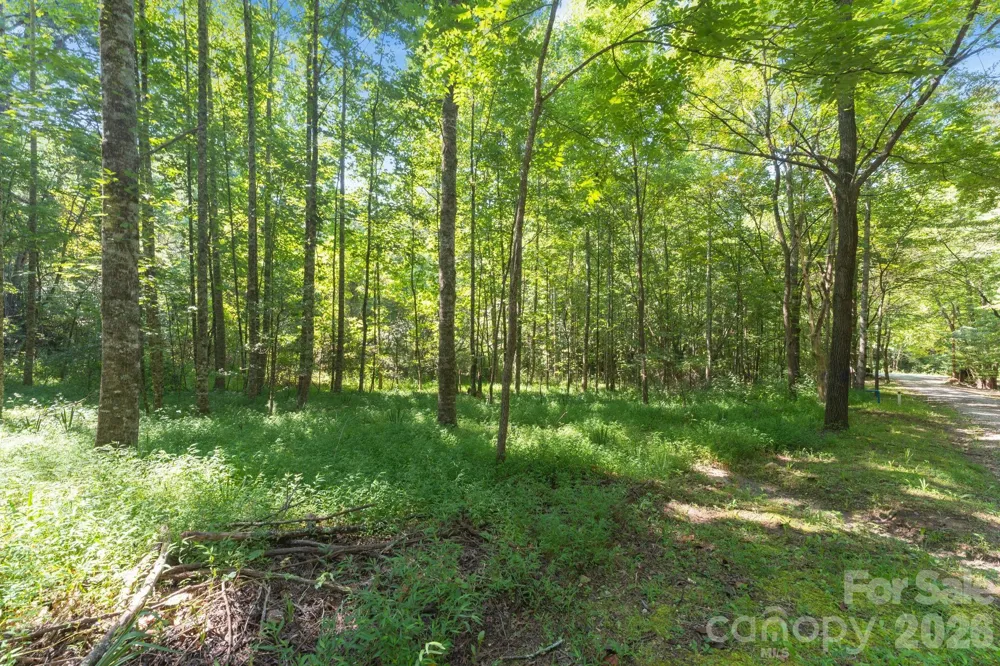 80 Breezewood Drive Bryson City, NC 28713